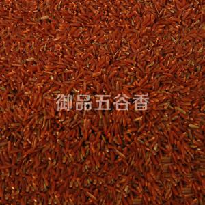 红米